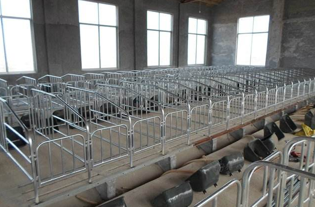 不銹鋼管養殖場 不銹鋼管養殖場