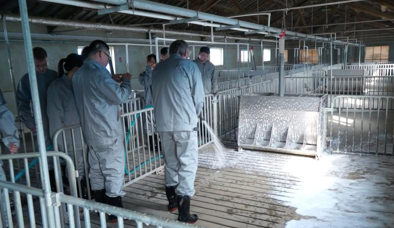 消毒清潔中的養豬場 消毒清潔中的養豬場